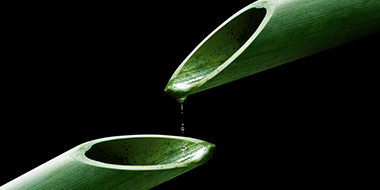 Thought-Leadership-Artikel 