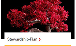 Stewardship-Plan