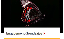 Engagement-Grundsätze