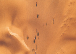 Bioeconomy and Natural Capital